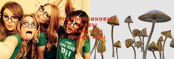 гидра Алексин