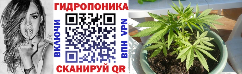 Конопля гибрид  где найти   Орехово-Зуево 